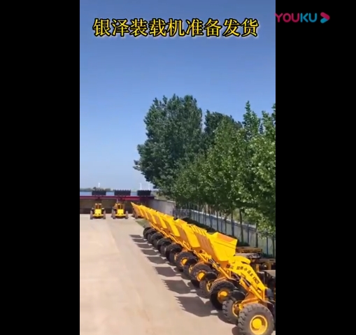 色板TIKTOK破解绿色抖音TIKTOK色板免费网站IOS发货中